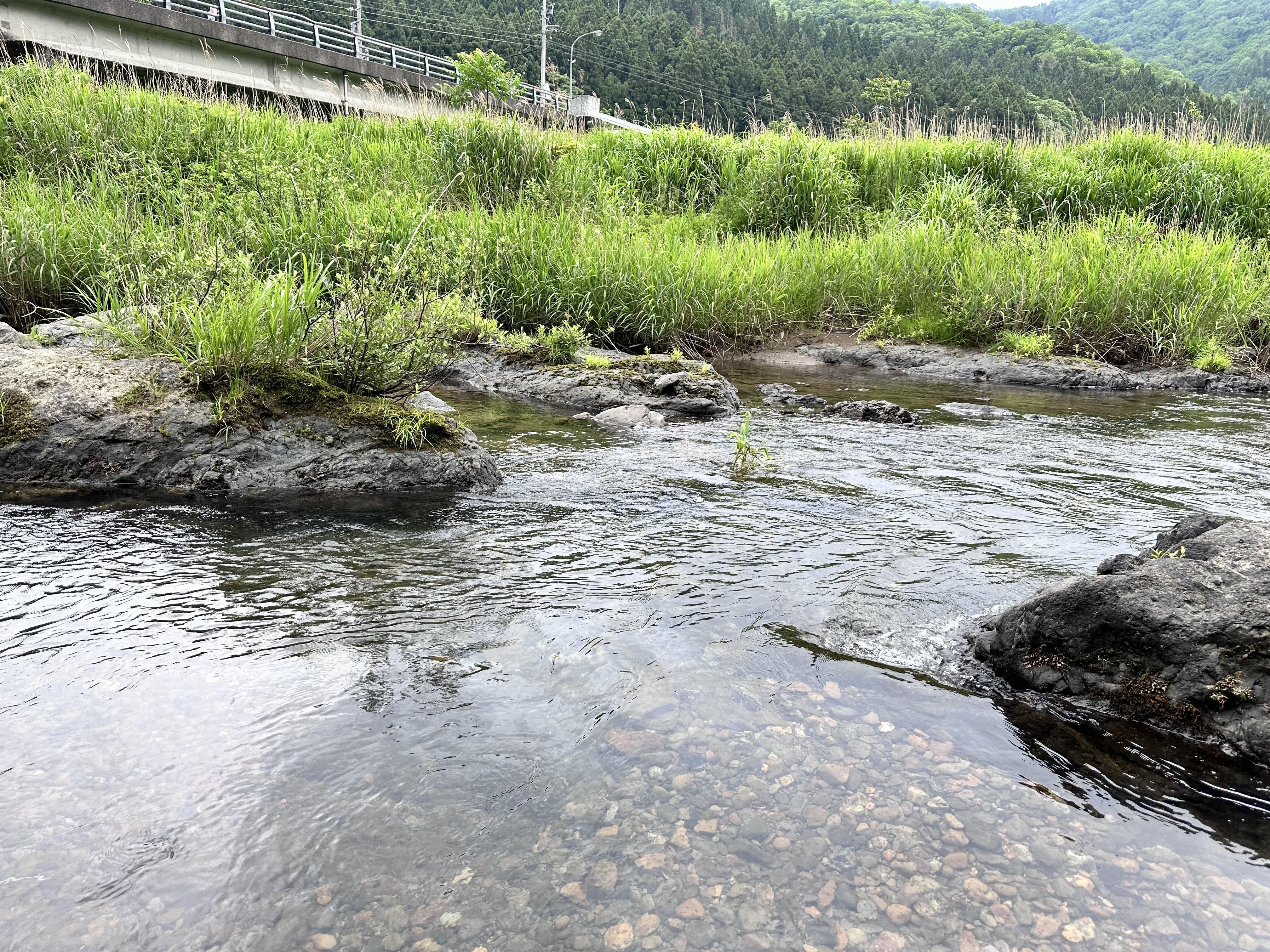 福井県_田倉川_1